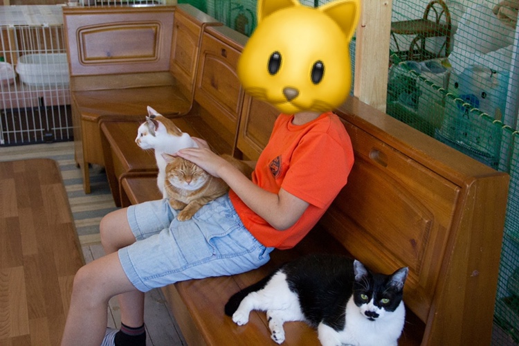 【小4の夏休み】皆勤賞🐱にゃん【画像多数】