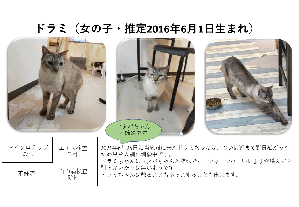 トラミねこ（プロフ必読10/9）様専用♡ ねばっこい