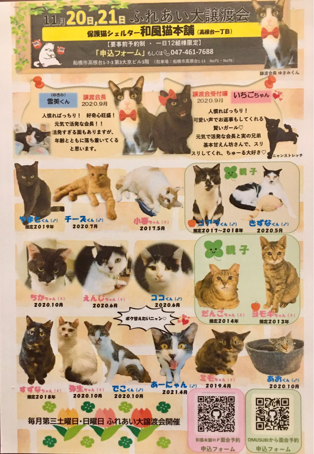 11月20日・21日「和風猫本舗ふれあい大譲渡会告知」60ニャン以上